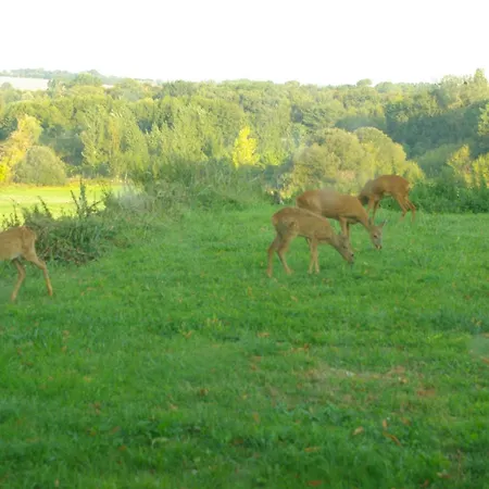 La Soue Naturel'Mans